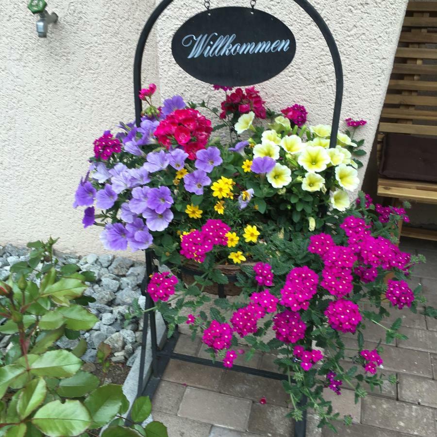 Hotel B&B Casa La Val Sedrun Eksteriør bilde